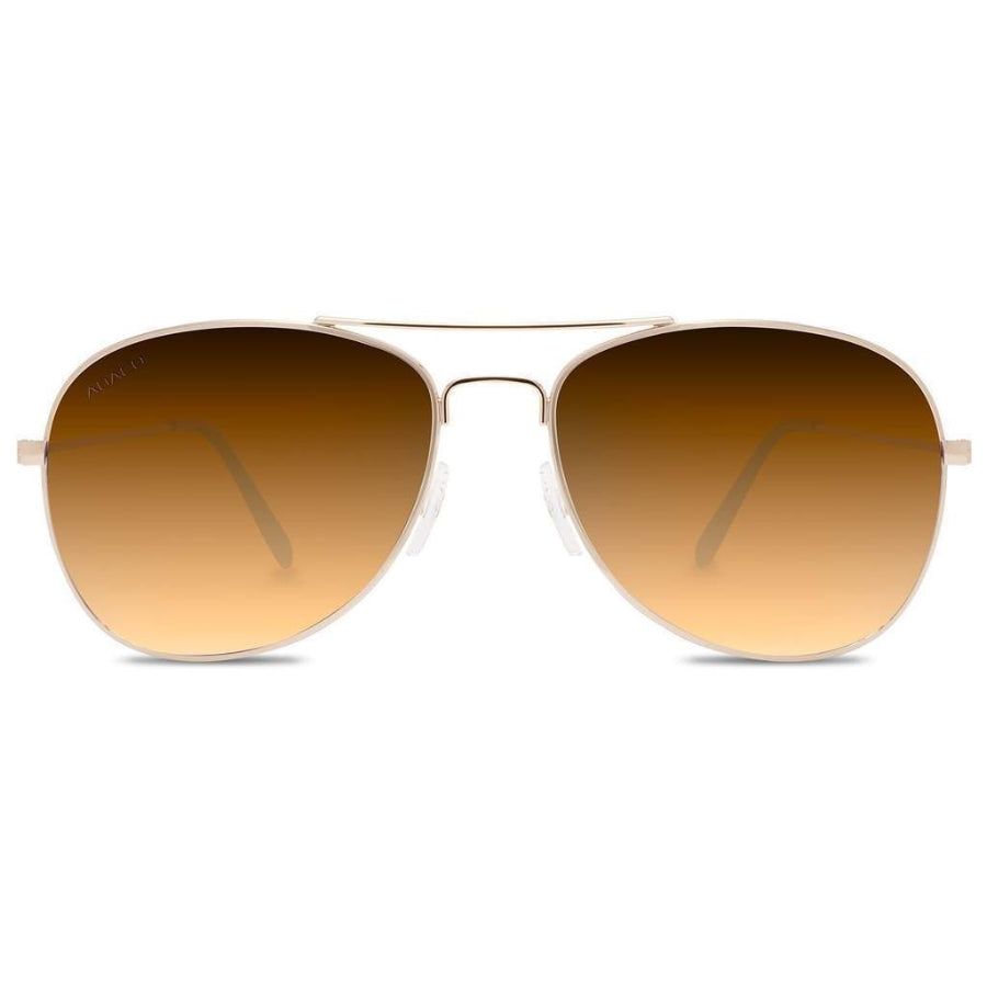 ABACO AVERY SUNGLASSES