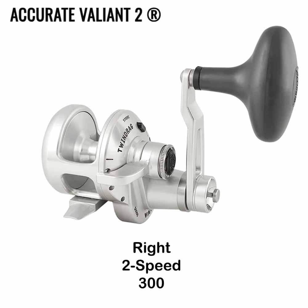 Accurate Valiant Two 2 Speed Conventional Reels