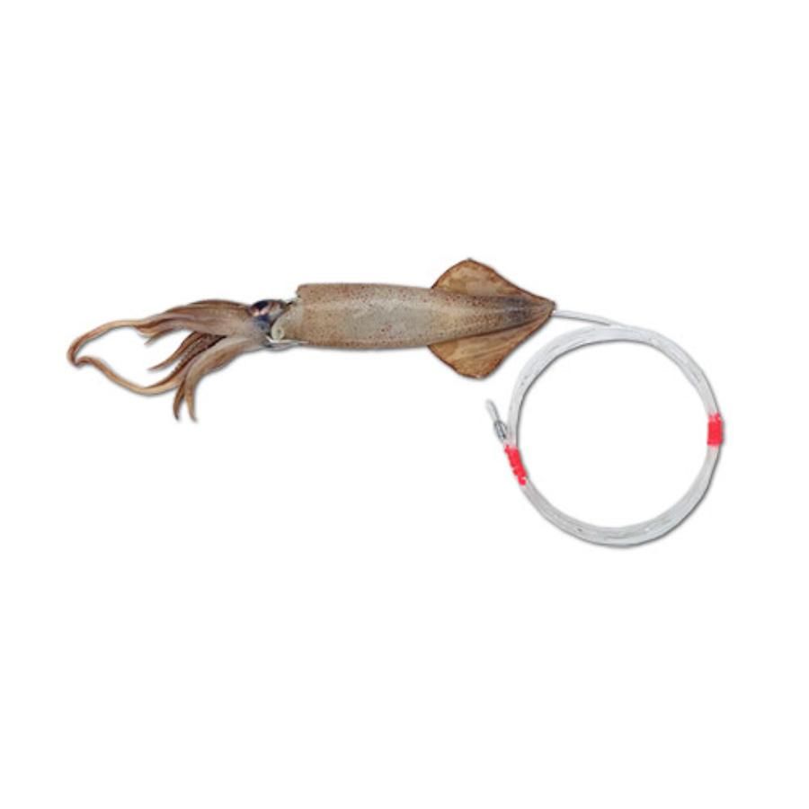 BAITMASTERS FROZEN DOLPHIN MUNCHIE RIGGED SQUID 2 PACK