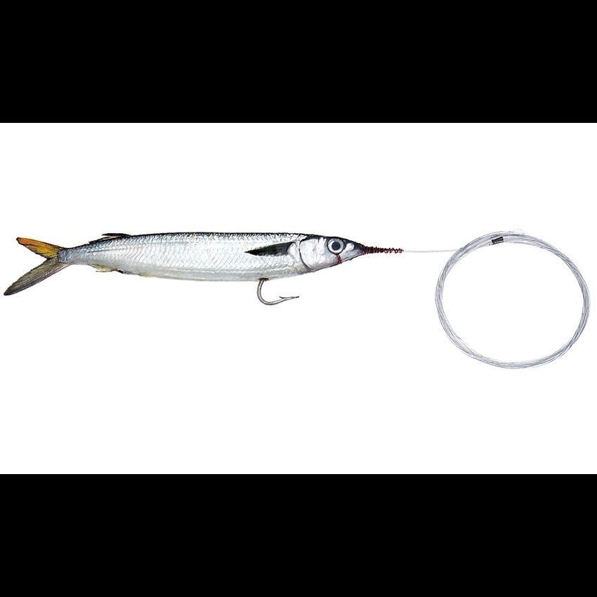 BaitMasters Rigged Ballyhoo Mono Leader 3 Pack