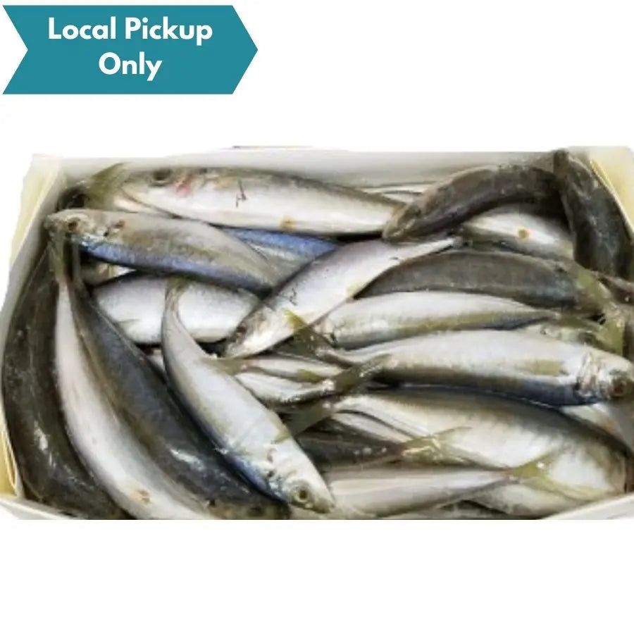 CAP'N SALTY FROZEN CIGAR MINNOWS 5LB