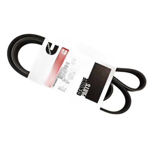 BELT, V RIBBED P/N 5466981