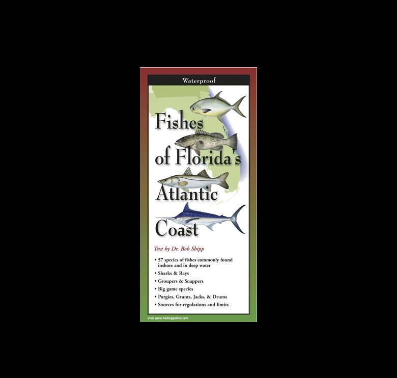 EARTH SKY WATER Fishes of Florida€™s Atlantic Coast