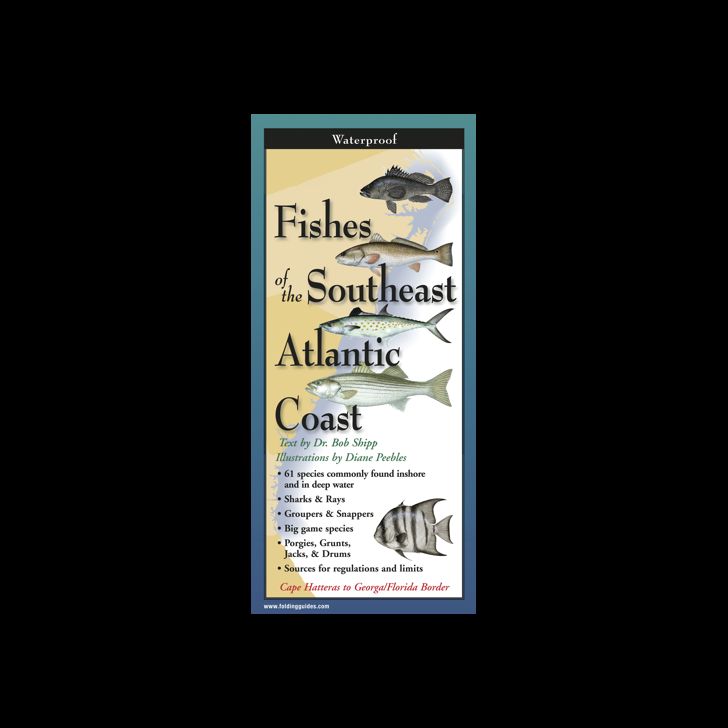 EARTH SKY WATER Fishes of the Southeast Atlantic Coast