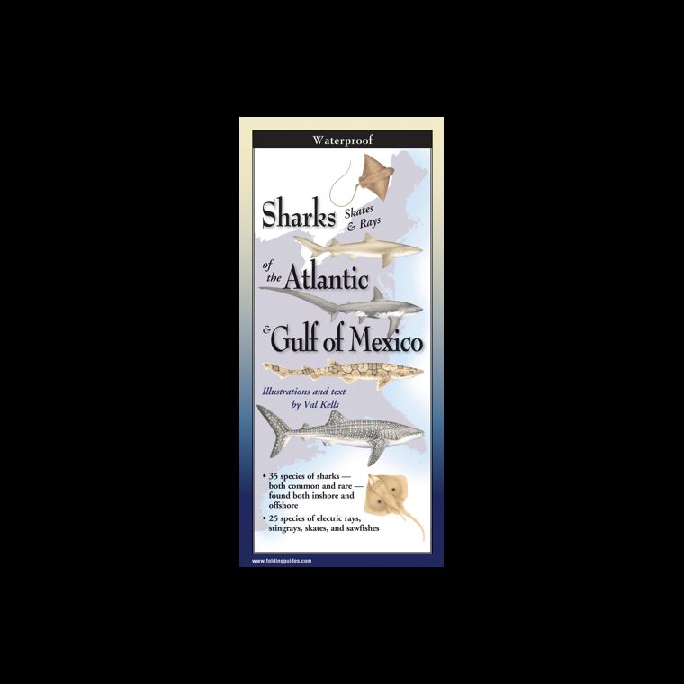 EARTH SKY WATER Sharks, Skates, and Rays of the Atlantic & Gulf of Mexico