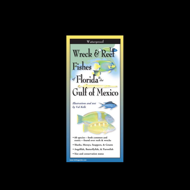 EARTH SKY WATER Wreck & Reef Fishes of Florida & the Gulf of Mexico