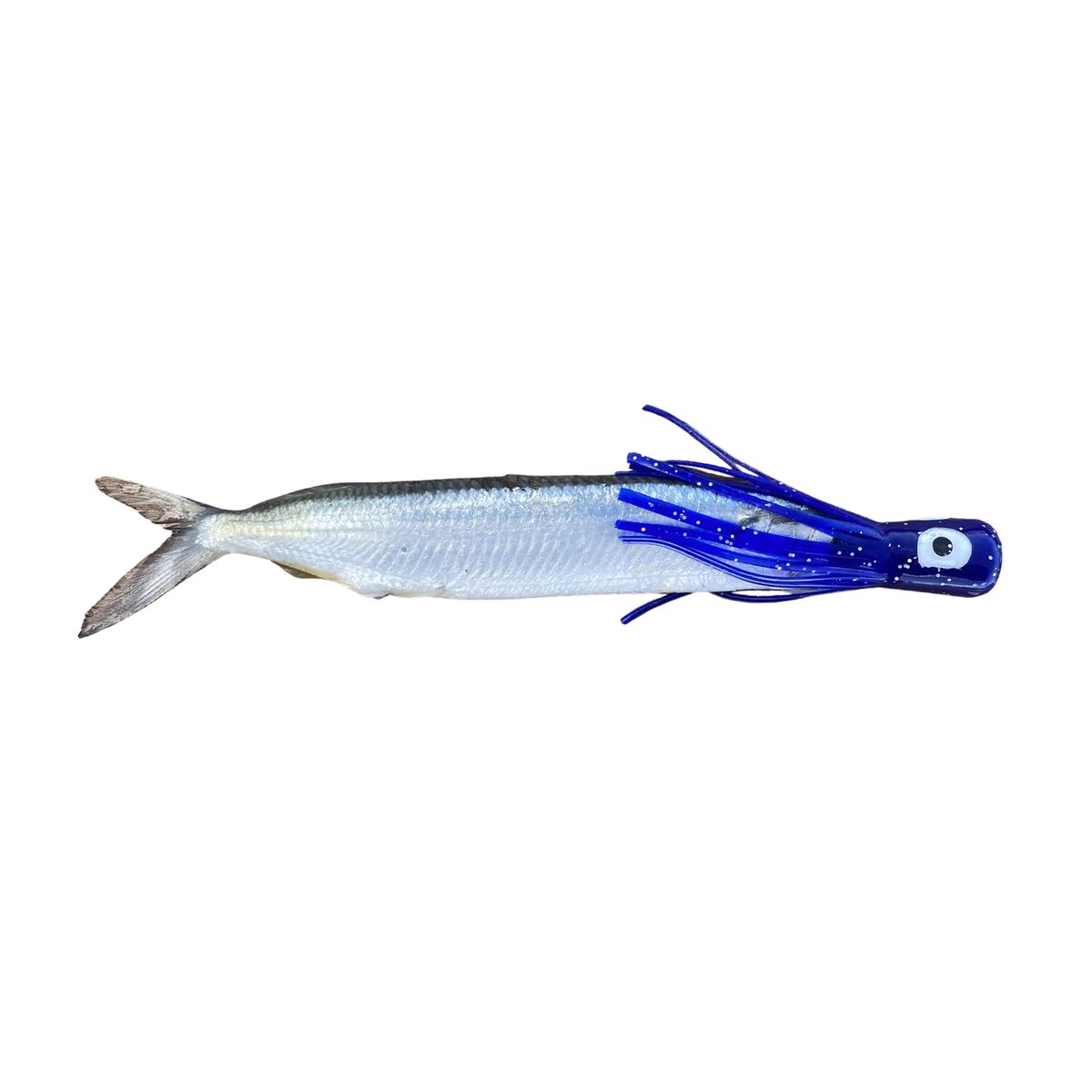 Fish Downsea Chugger Heads
