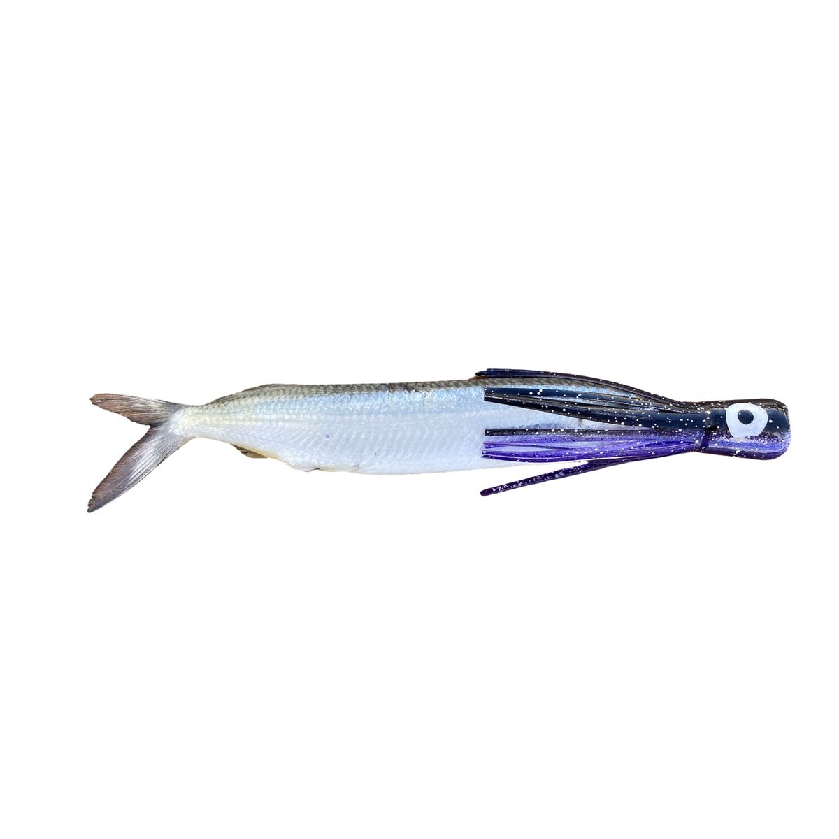 Fish Downsea Chugger Heads
