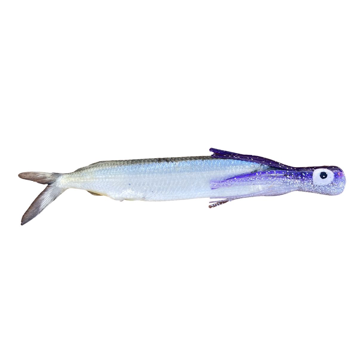 Fish Downsea Chugger Heads