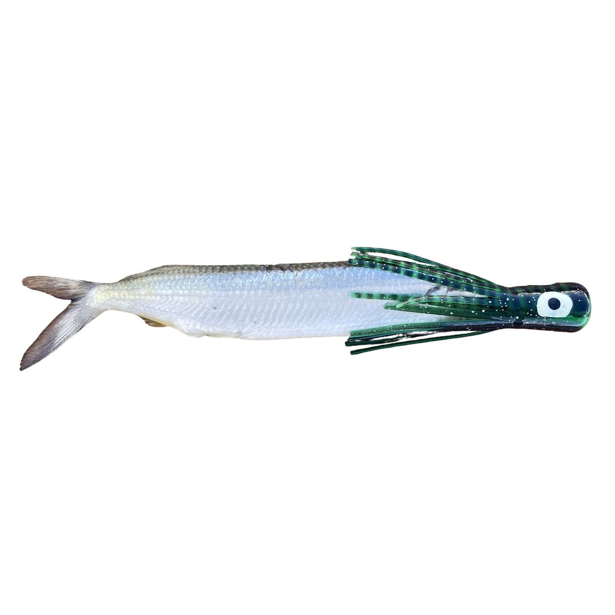 Fish Downsea Chugger Heads