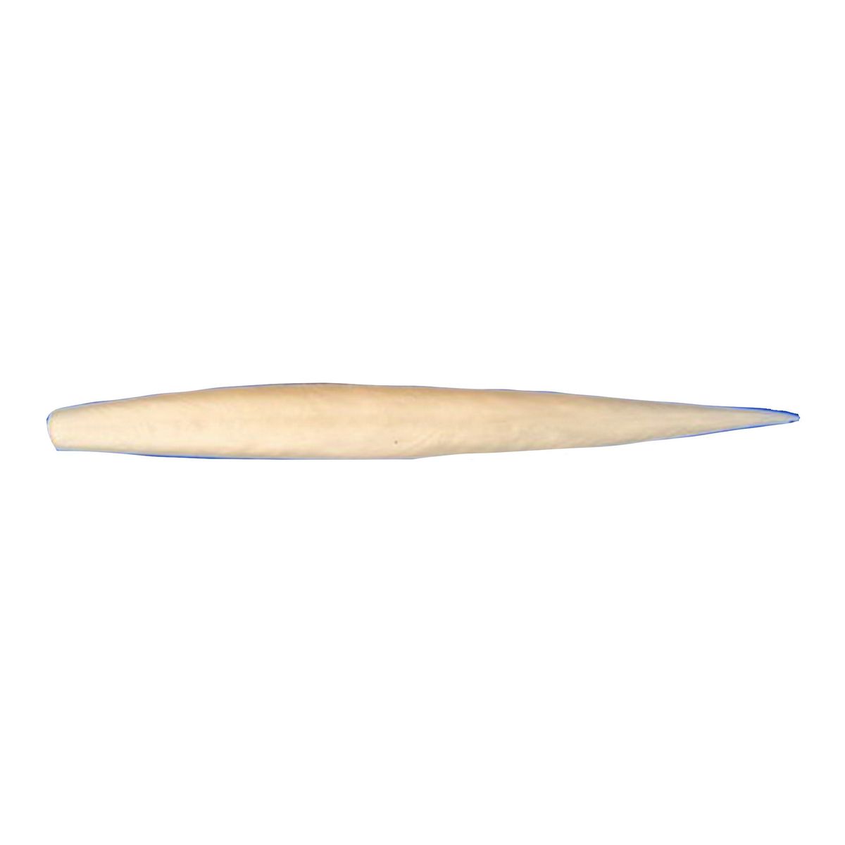 Fish Snax XL Soft Plastic Lures