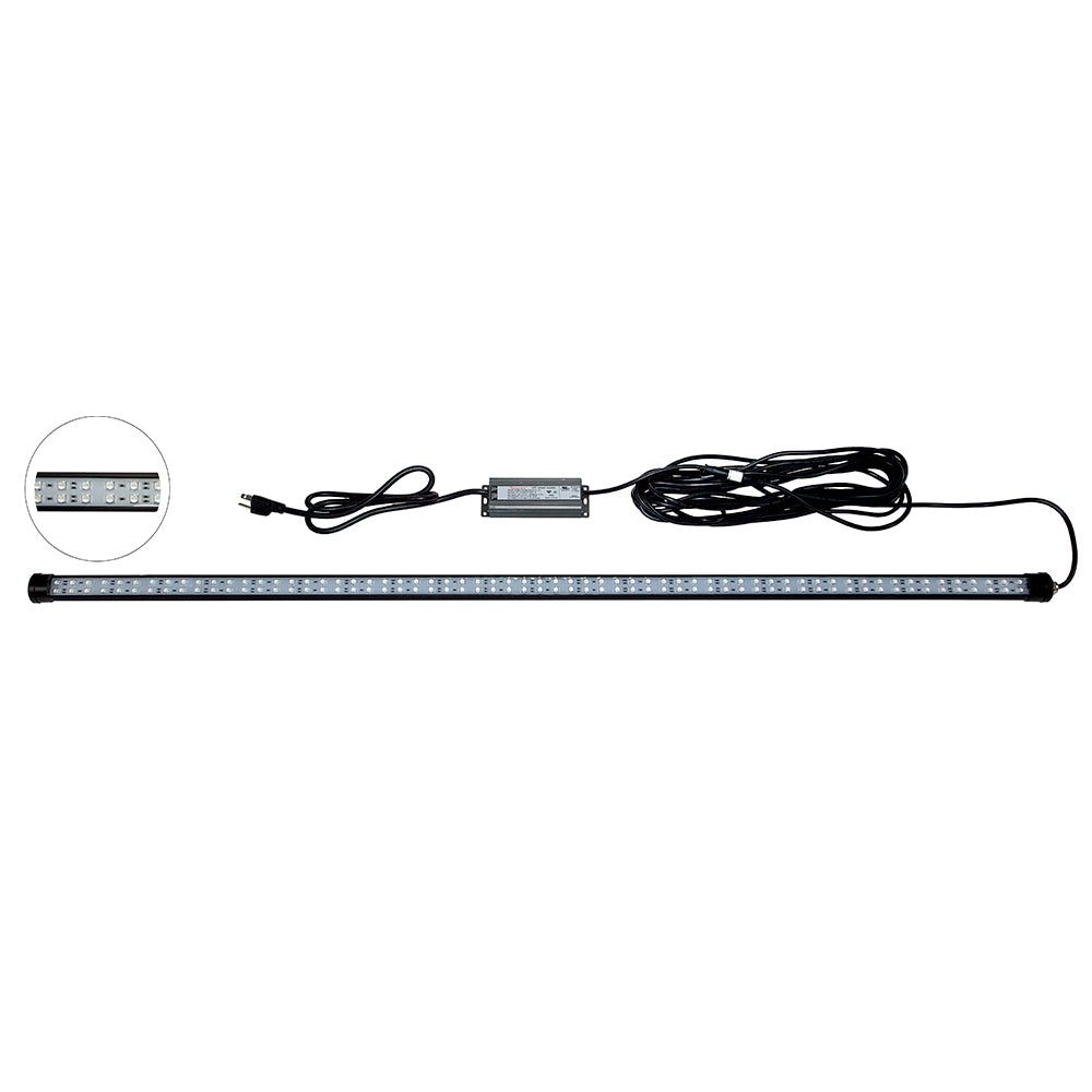 Hydro Glow 4' LED DockMaster 2000K Amber LED 120V