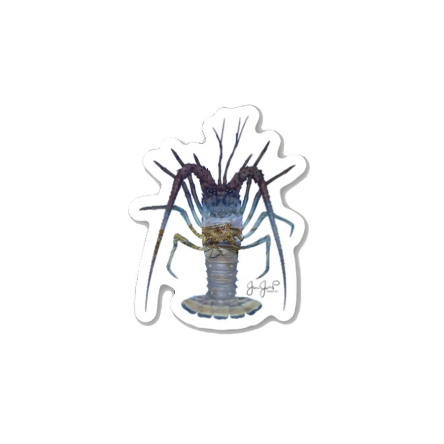 JESSIE JESSUP LOBSTER MARCH STICKER