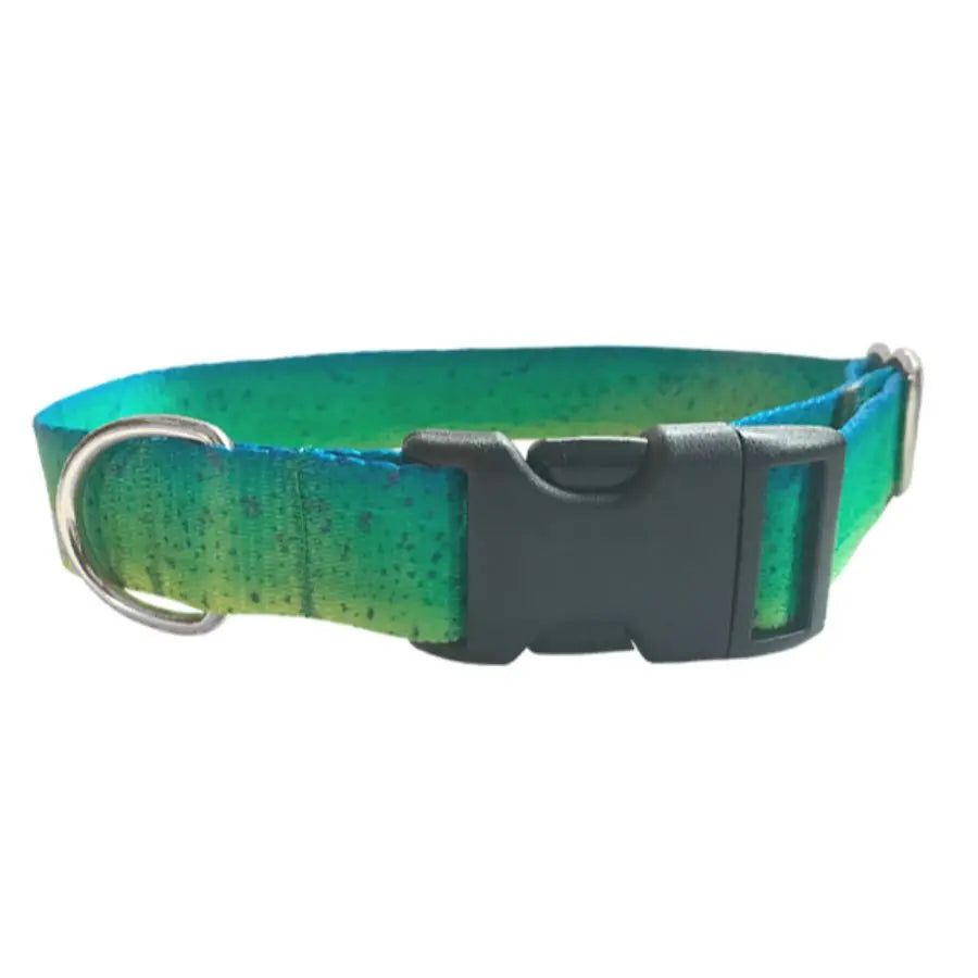 JESSIE JESSUP MAHI DOG COLLAR