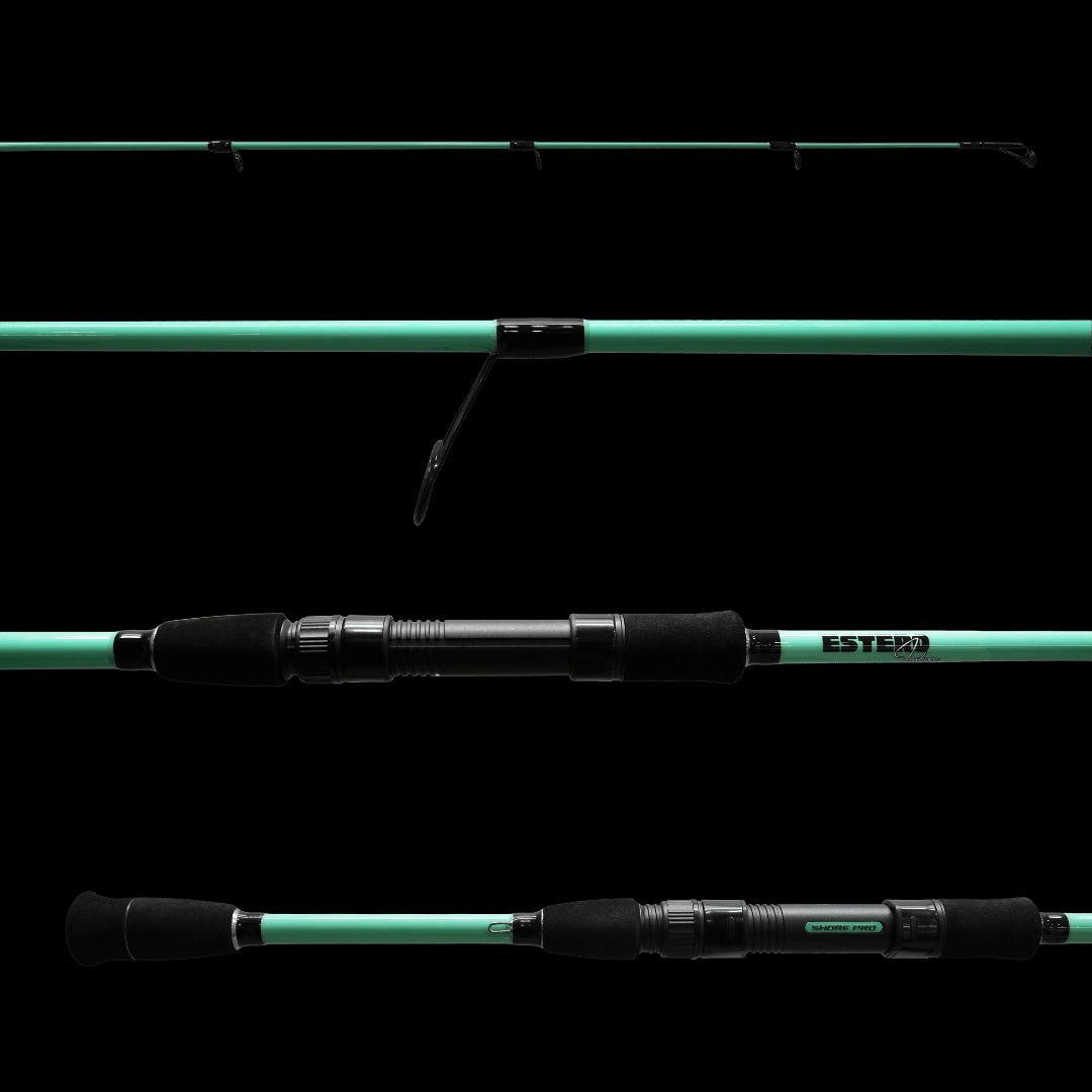 ESTERO INSHORE