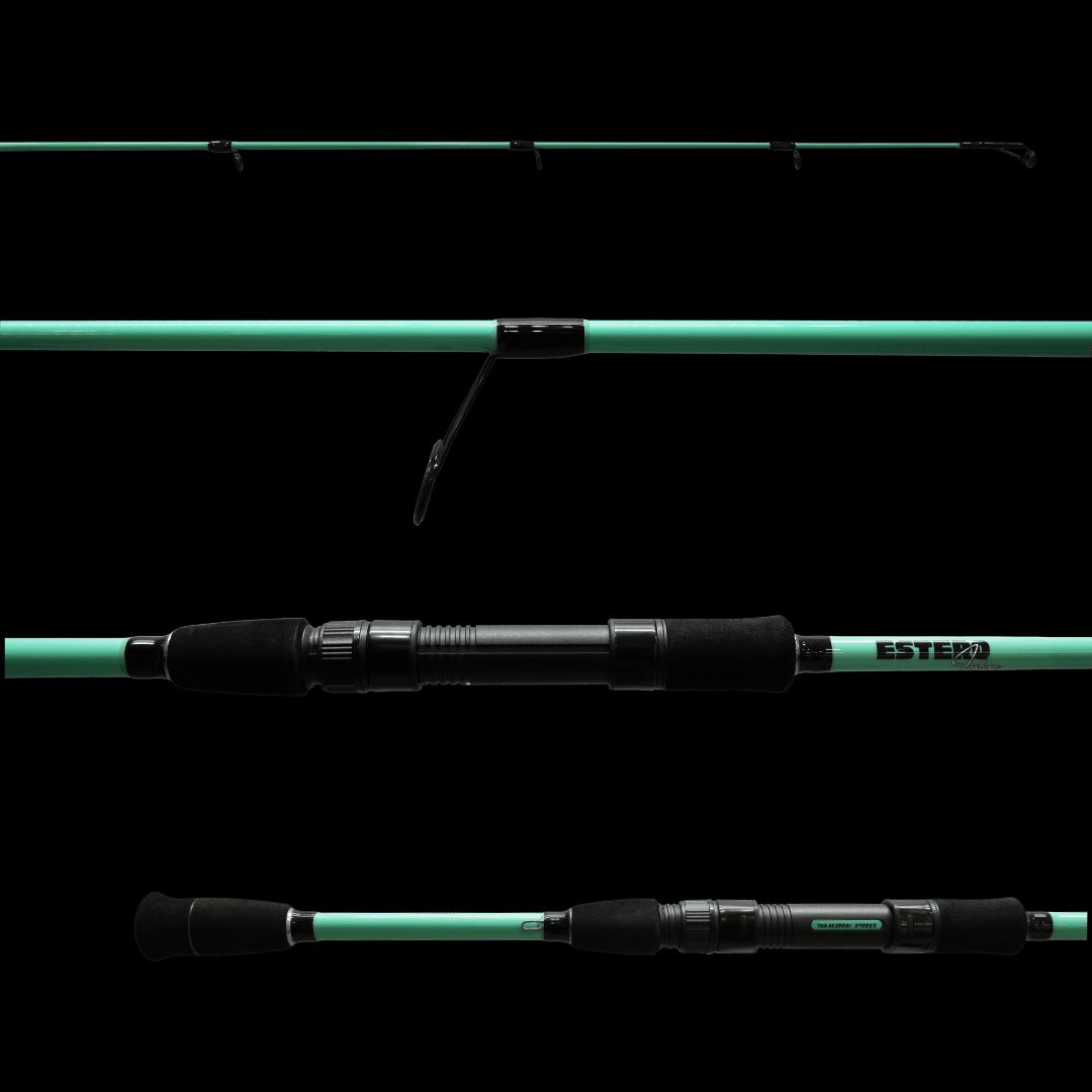 ESTERO INSHORE