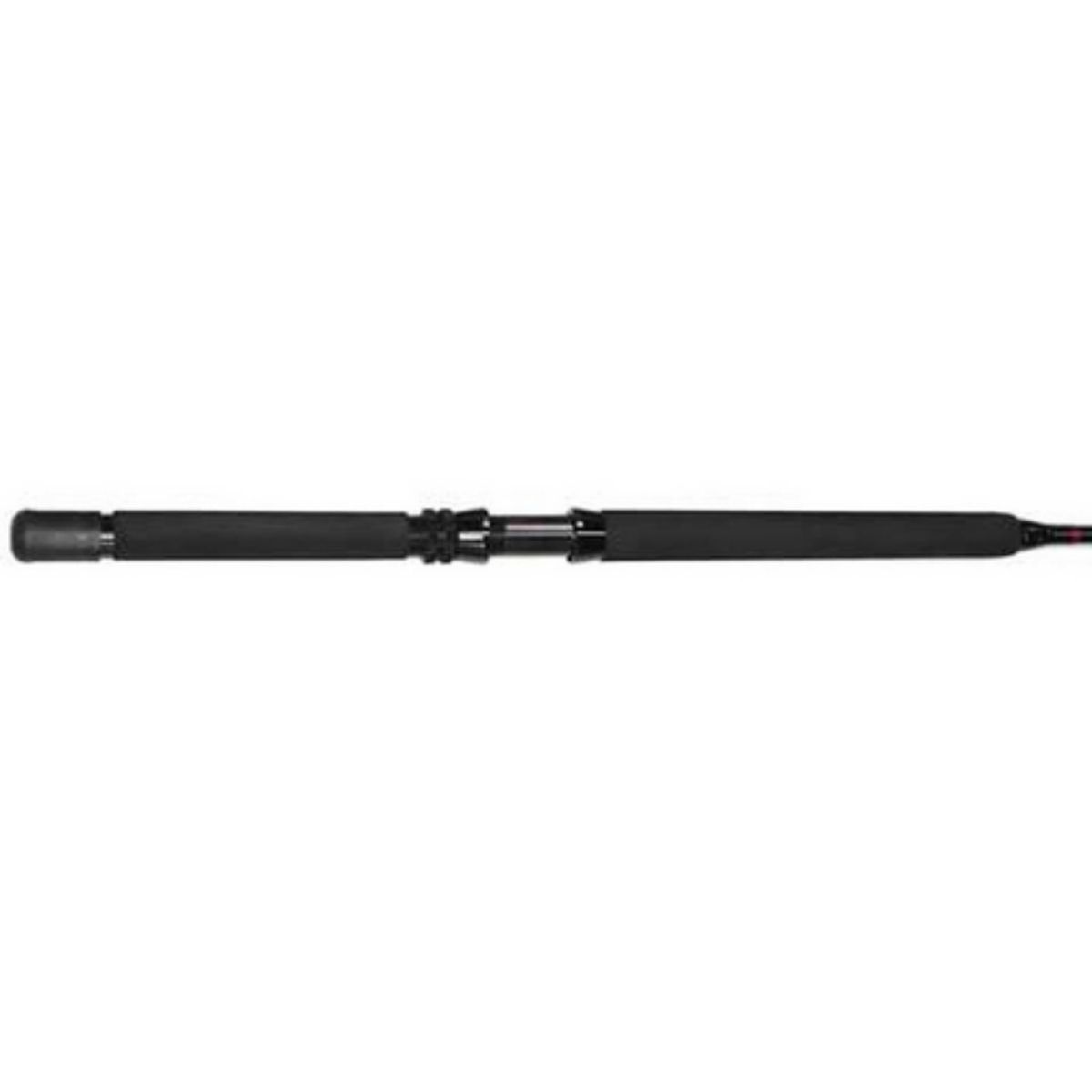 Lamiglas Insane Salt Conventional Rods