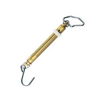 Manley Brass Fish Scale