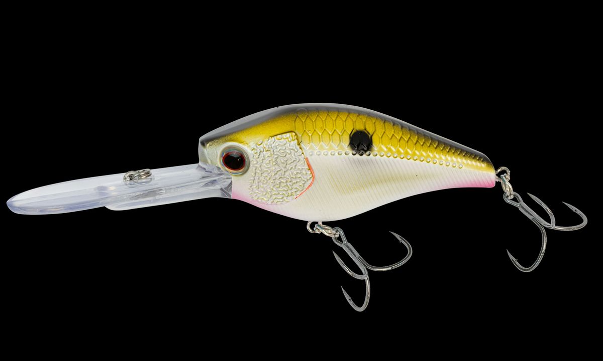 D-Trak 80 Deep Crankbait 3-1/4"