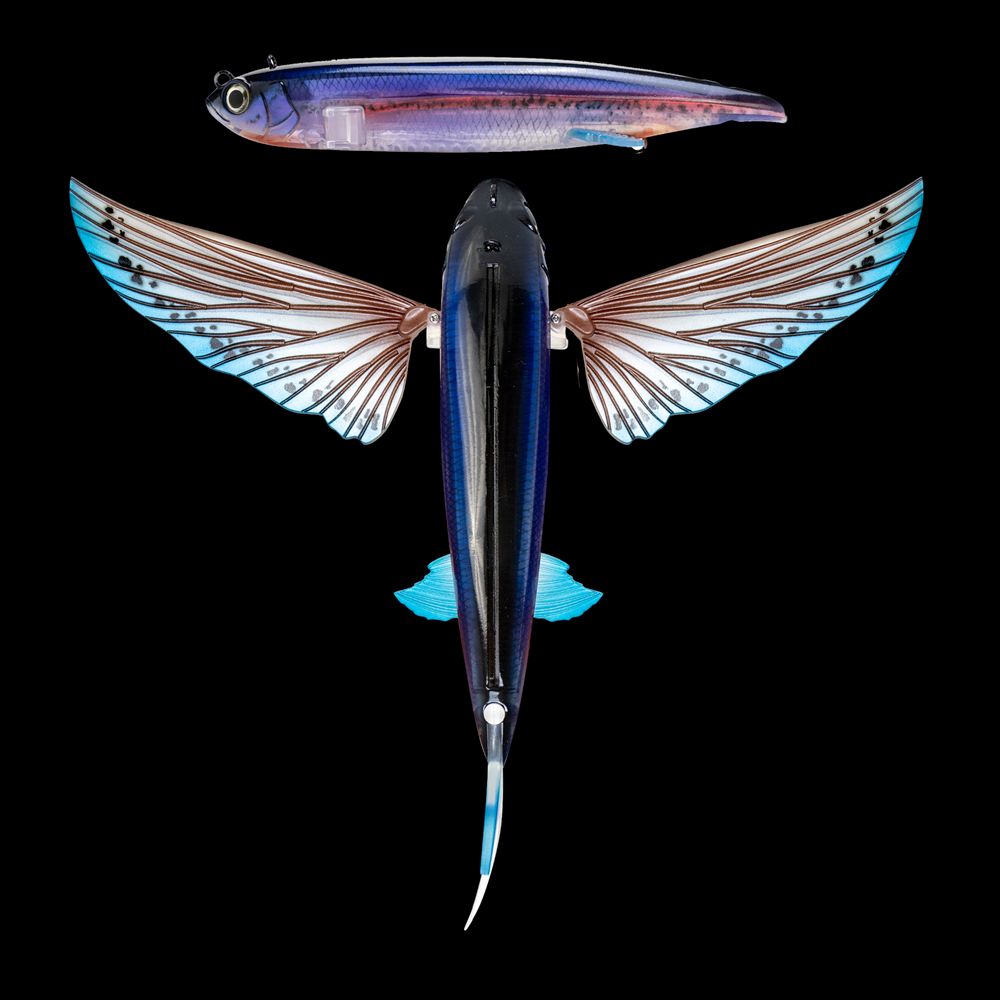 Slipstream 280 Flying Fish 11"