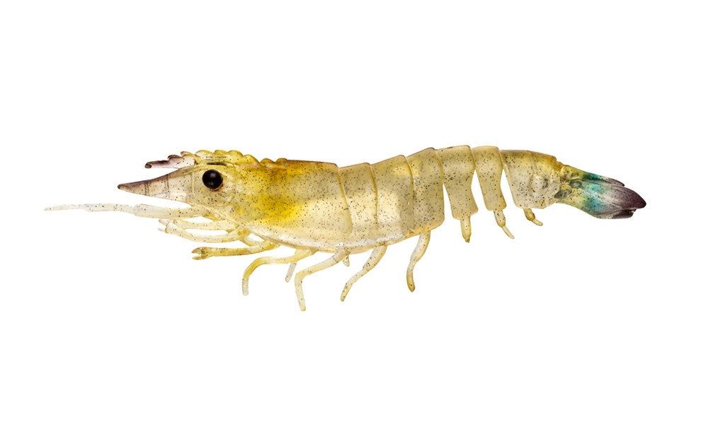 Sumo Shrimp Unrigged 6.5" - 2 Pack - Live Ops
