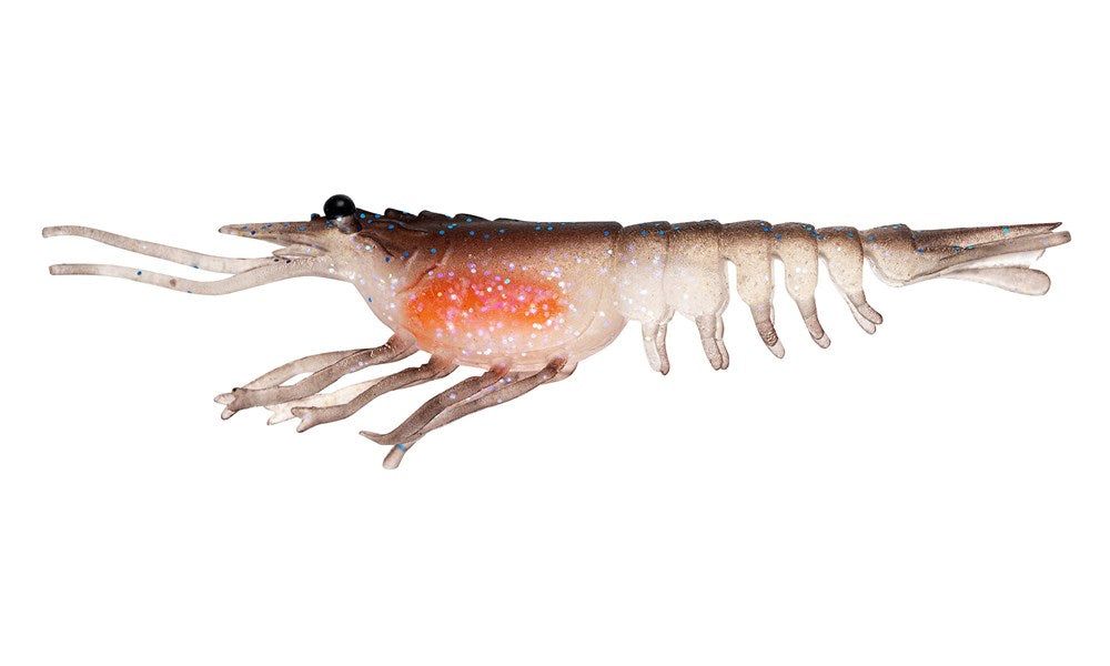 Switcher Shrimp 4.25" - 4 Pack - Live Ops