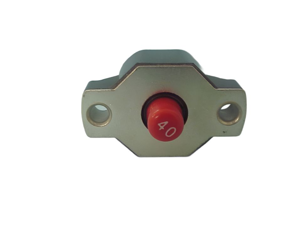 Circuit Breaker P/N 22-41070