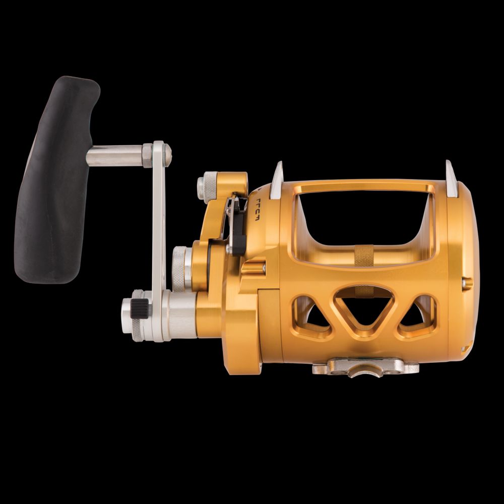 PENN International VISW Reels