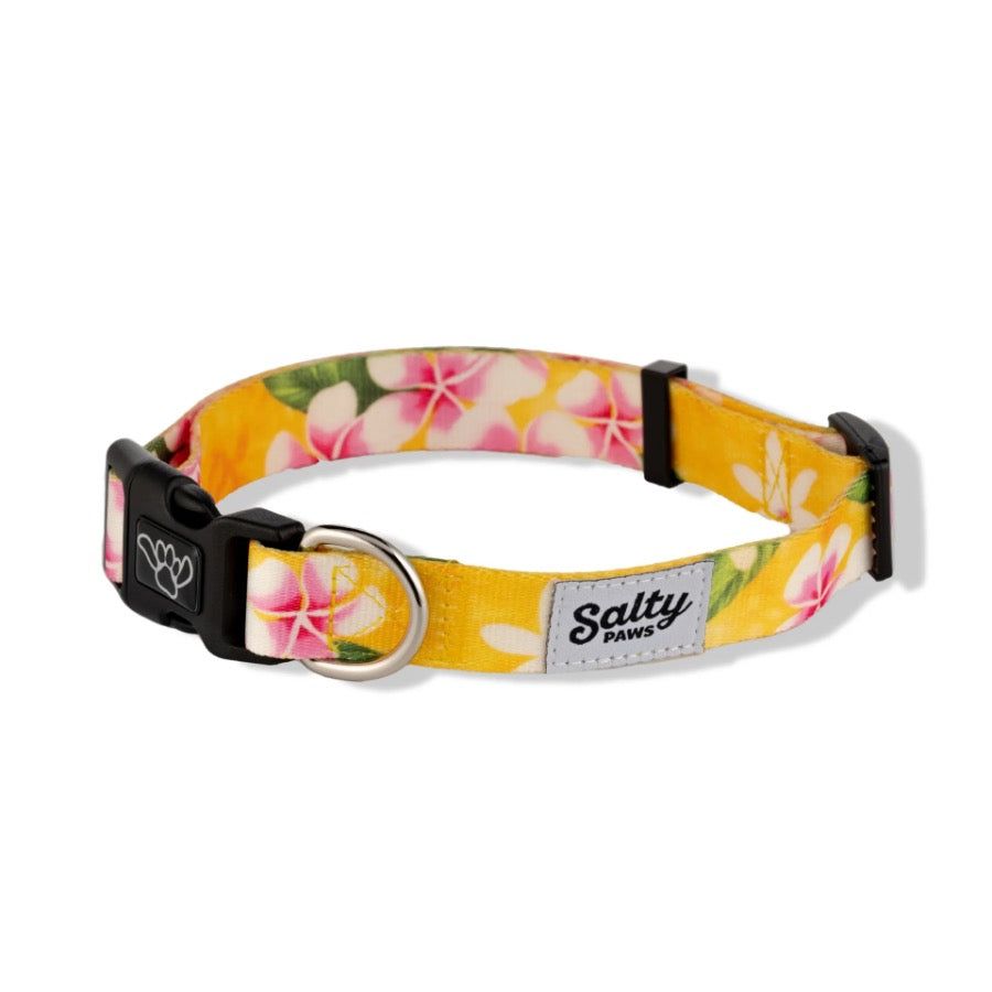 SALTY PAWS YELLOW FLORAL DOG COLLAR