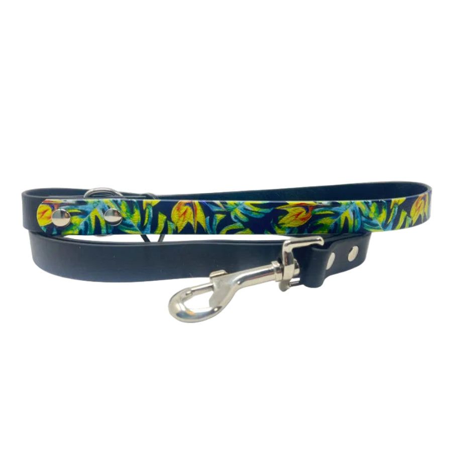 SCALES PET / DOG LEASH