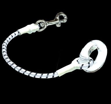 TIGRESS Snubber