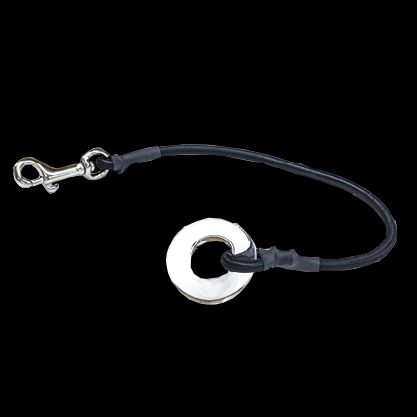 TIGRESS Snubber