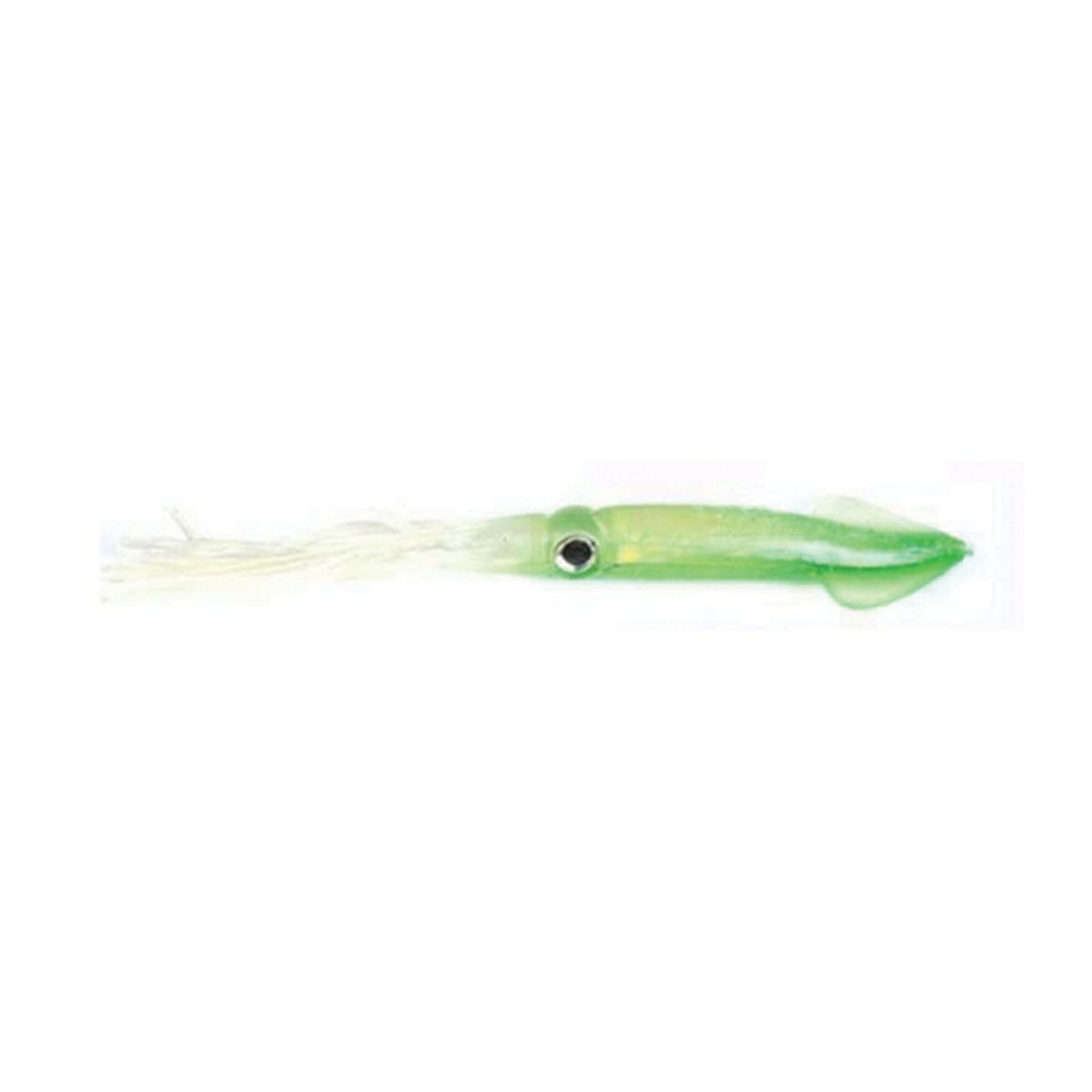 Tsunami Holographic Squid