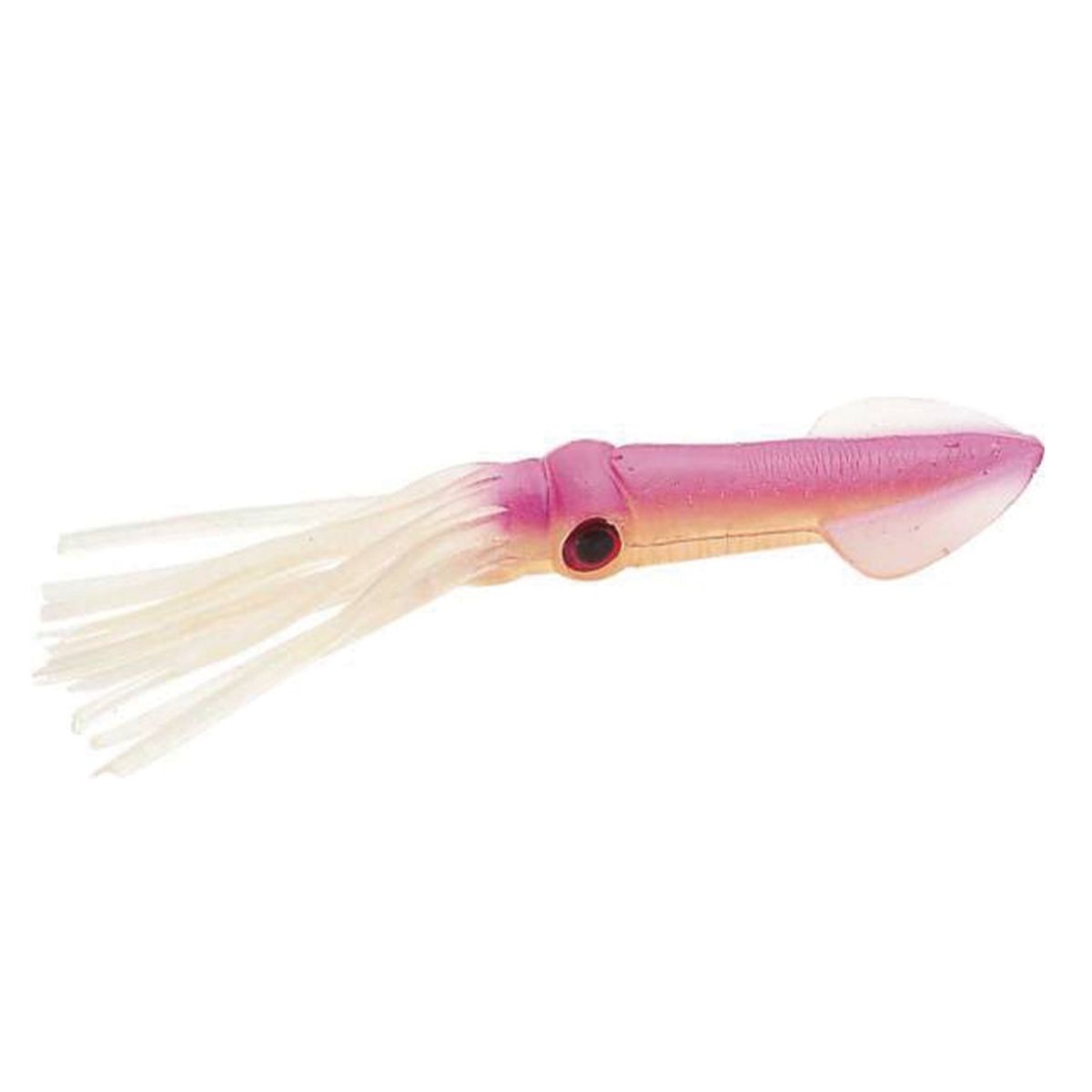 Tsunami Holographic Squid