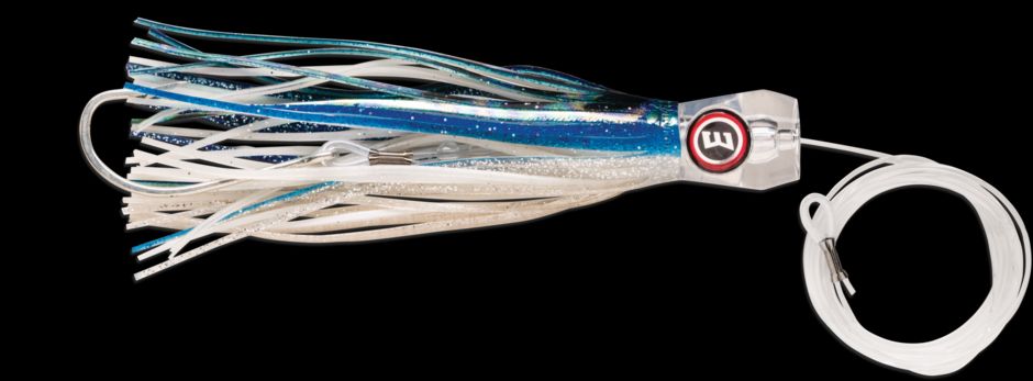 Williamson Sailfish Catcher - Rigged