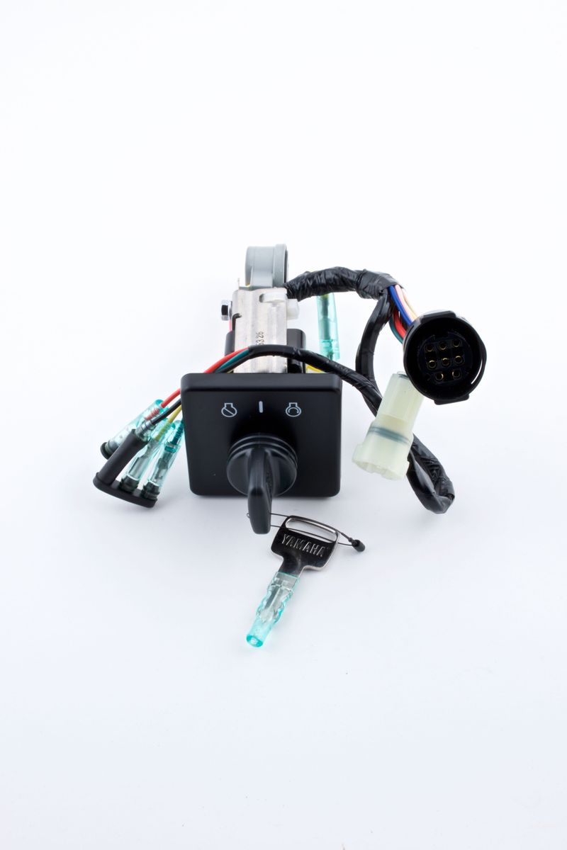 Panel Switch Assembly