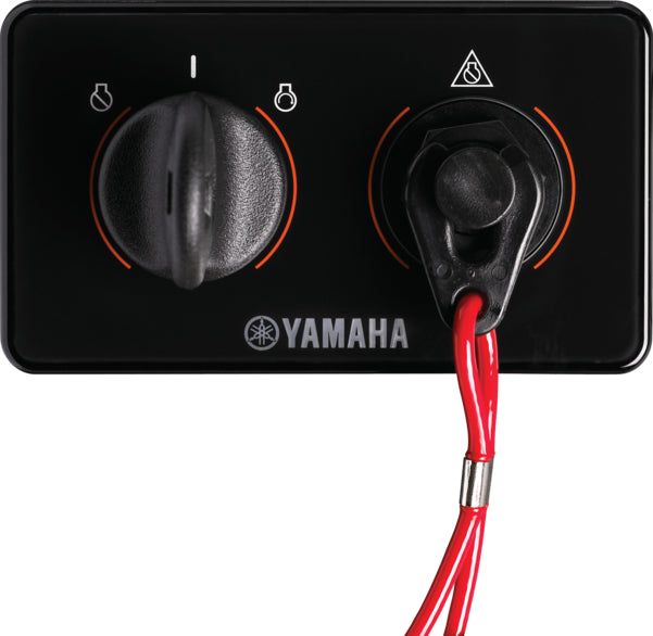 Panel Switch Assembly