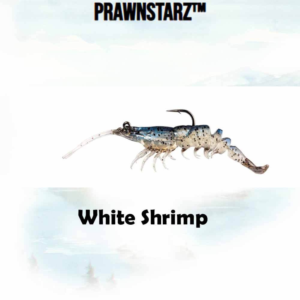 Z-Man Prawnstarz